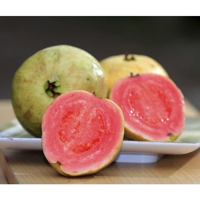 Pink Guava Syrup